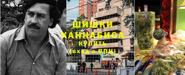 дмт Кадников