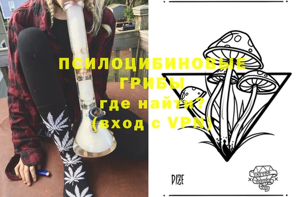 индика Карабаш