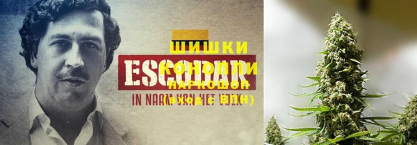 ешки Арсеньев